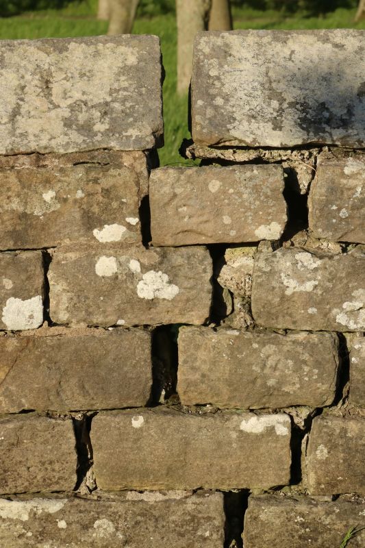 Stone Wall Repair in New Albany, IN